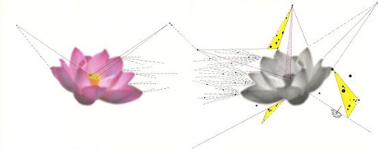 Shen Wei , Untiteld (Two Lotuses), 2014, Ink on Archival Inkjetprint, Diptych, each panel 11 x 14 inches