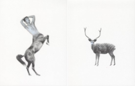 Shen Wei , Untiteld (Myth), 2013, Color pencil on Archival Inkjetprint, Diptych, each pannel 11,7 x 16,5 inches