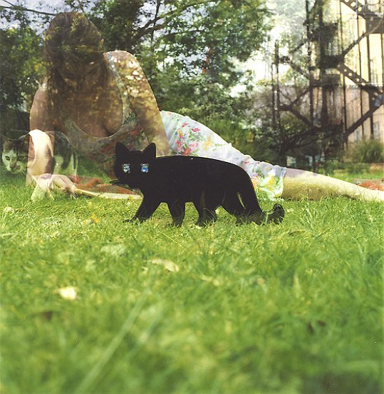 John Hilliard Large study for: Scare Cat, 2008, c-type colour photograph on museum board, 73 x 79 cm